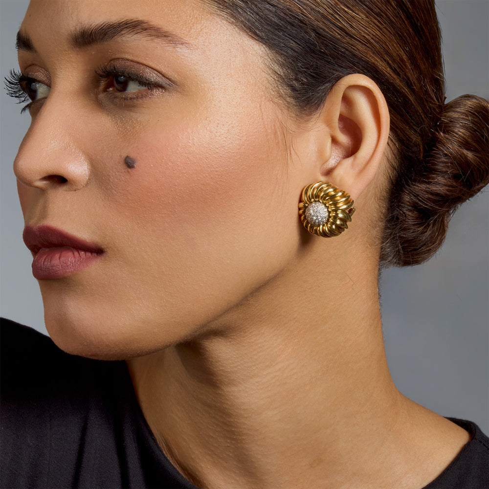 
                      
                        Macklowe Gallery Tiffany & Co. Diamond Flower Clip Earrings
                      
                    